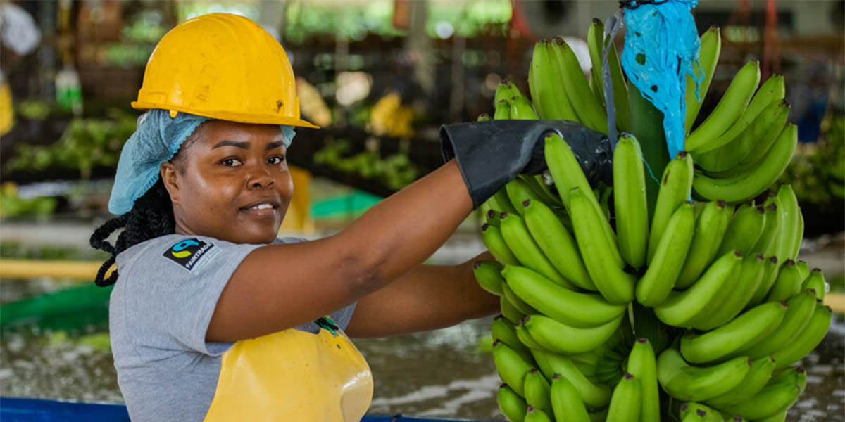Fairtrade aggiorna i prezzi minimi per le banane
